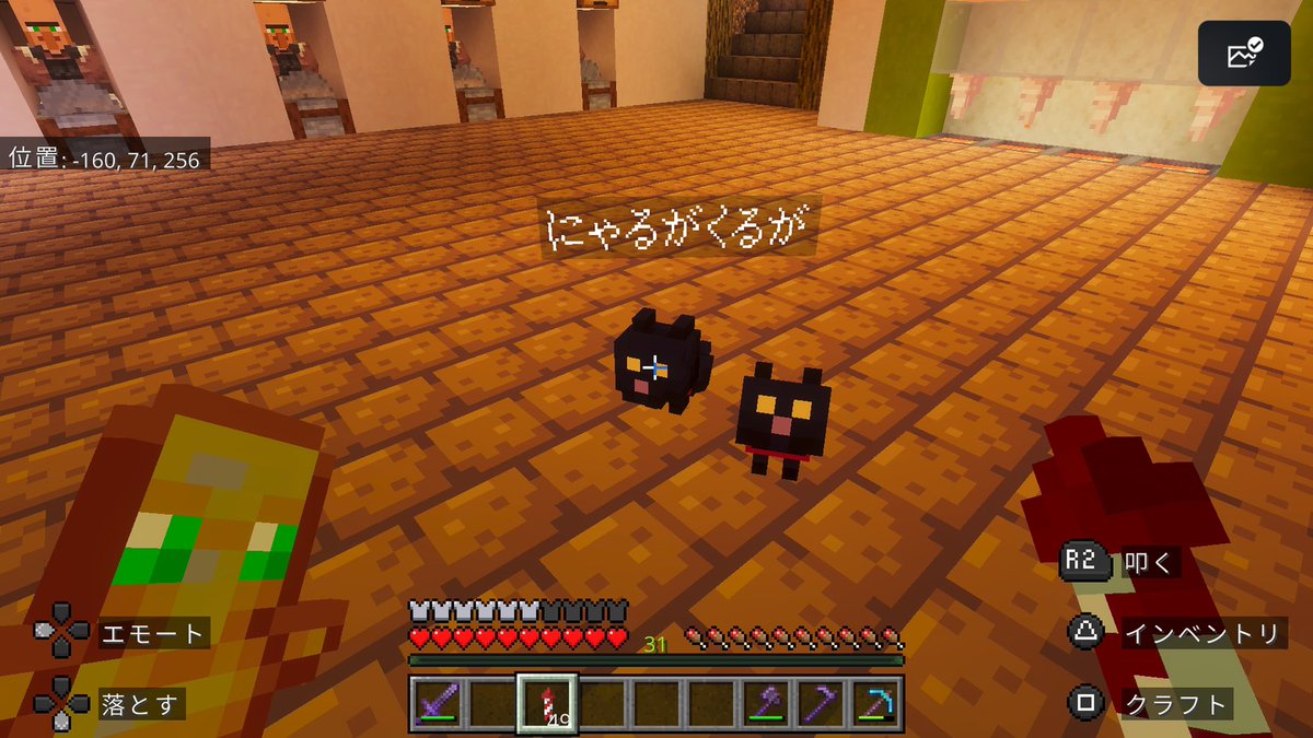 chan_kshow's tweet photo. 新しいペット🐈‍⬛ https://t.co/AaOKNlRCjq