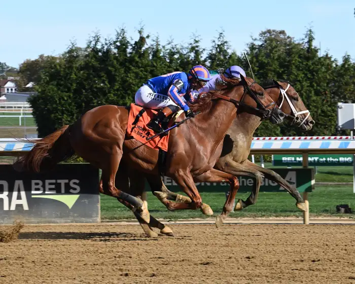 USRacingToday's tweet photo. How to Bet $500 on the Belmont Stakes

https://t.co/0RebqdG0Ey https://t.co/SX5oIHYtss