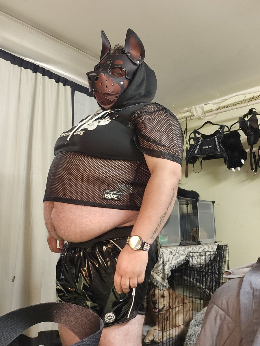 pupcache's tweet photo. big fat dog time

#pup #ftm #pet #fat https://t.co/A2W09oOzvV