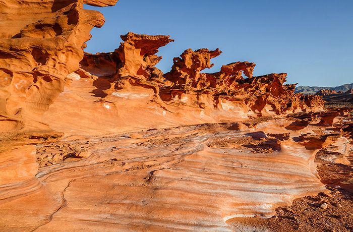 repdinatitus's tweet photo. Our precious public lands should never be used as revenue raisers for partisan issues. I am introducing the Public Lands Integrity Act to prevent these special places from being sold off without our consent. @RepGabeVasquez @RepCiscomani @RepJoeNeguse  @RepRyanZinke https://t.co/JWVUq317G8