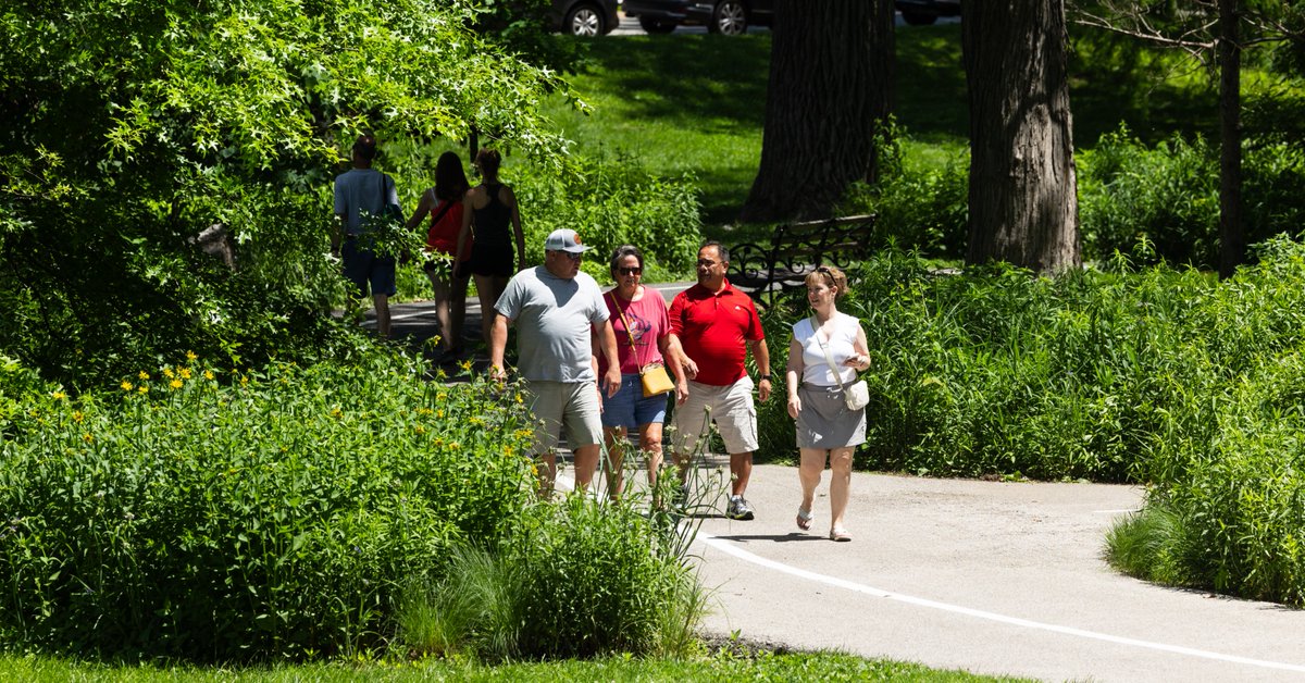 ForestPark4Ever's tweet photo. Summer in Forest Park ❤️ 🧡 💛 💚 💙 💜 Check out our #ForestPark4ever calendar of events for a sampling of what's happening. https://t.co/2JL0O7JzAw https://t.co/DwfLk1JoRS