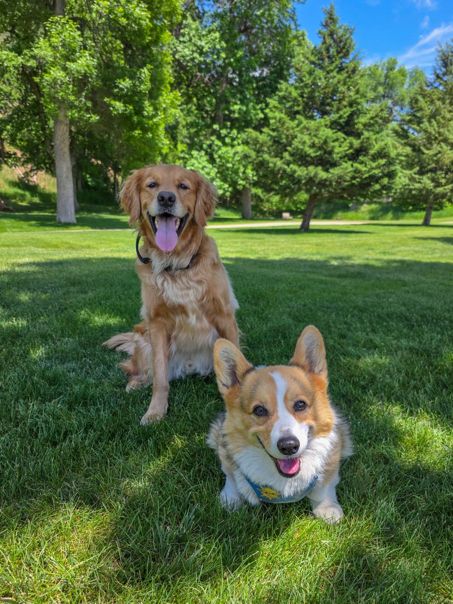 Becca_Furnish's tweet photo. Two Legends one photo.
This is why we chase!
#stormchasingdog
#hankthestormdog
#aspenthestormdog
@SirlinJohn https://t.co/uLT165ve4w