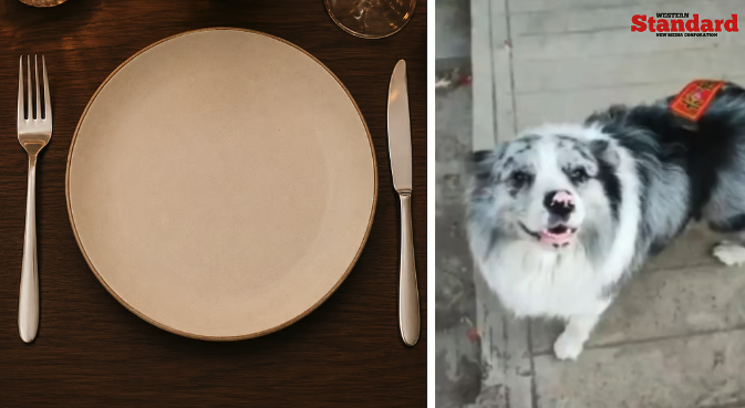 WSOnlineNews's tweet photo. 🚨 Chinese celebrity Border Collie 'Chutou' stolen and eaten for $27

Link in thread 🧵 https://t.co/NFnvWVYBhC