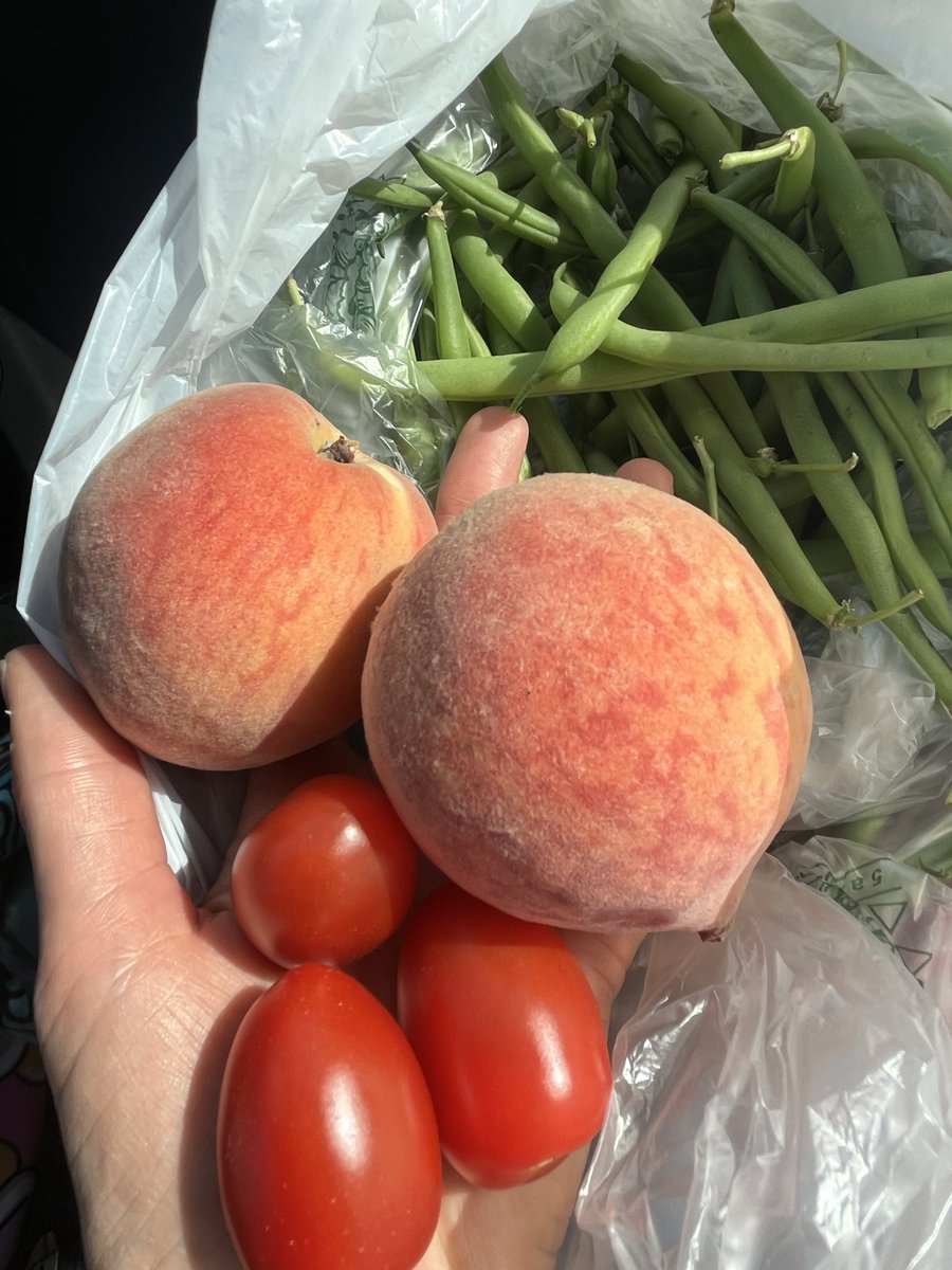 CabernetBay's tweet photo. just peachy 🍑🍅 https://t.co/pH78v79mwg