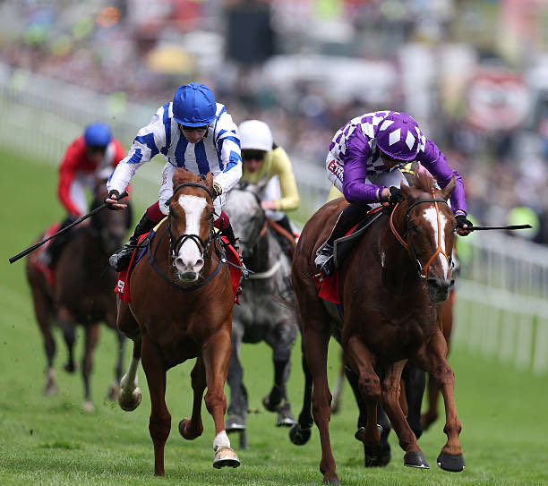 MHS_HorseRacing's tweet photo. 📸 Segaulls Eleven pictured winning the Group 3 Diomed Stakes at @EpsomRacecourse under @oismurphy. 

@Coral @HM3Legal @nafuk @ESurfaces @Grosvenorbroker @CharlesOwenHats #TeamMHS https://t.co/UFnDFr6C67