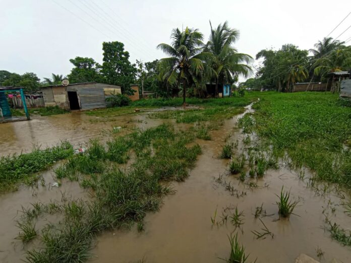 infopublicave's tweet photo. 📢Tras las fuertes lluvias que se registraron en Tucupita, #DeltaAmacuro, habitantes de varias comunidades de la localidad han reportado estar entre las aguas y barriales debido a que no cuentan con aceras.

📌 @radiofeyalegria https://t.co/KXpfO1GOjJ