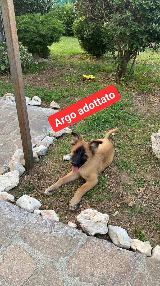 felice