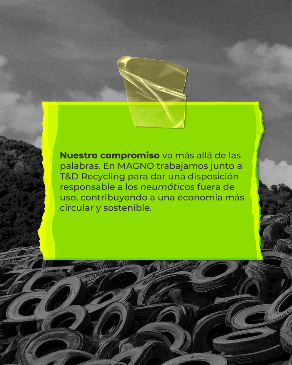 MagnoLinea12's tweet photo. Cada neumático reciclado representa un paso más hacia una economía circular y un futuro más sostenible para todos 🚍

♻️ En Mago seguimos comprometidos con generar un impacto positivo para el medio ambiente y las próximas generaciones 🧡

#DíaMundialDelMedioAmbiente #Magno https://t.co/WKTweQTeZ1