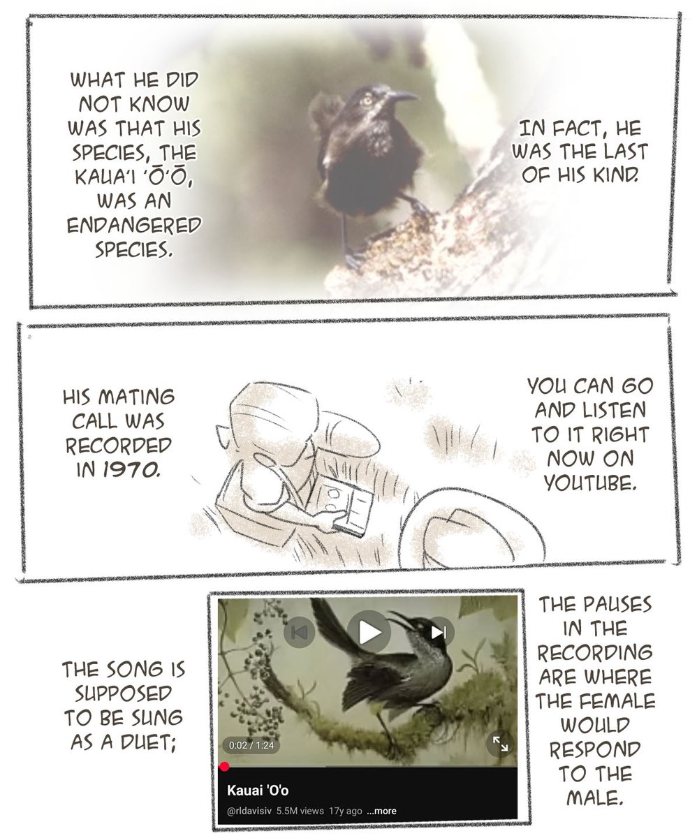 Mick19988's tweet photo. Bird Comic 2/2 https://t.co/DUMa3h12Wb