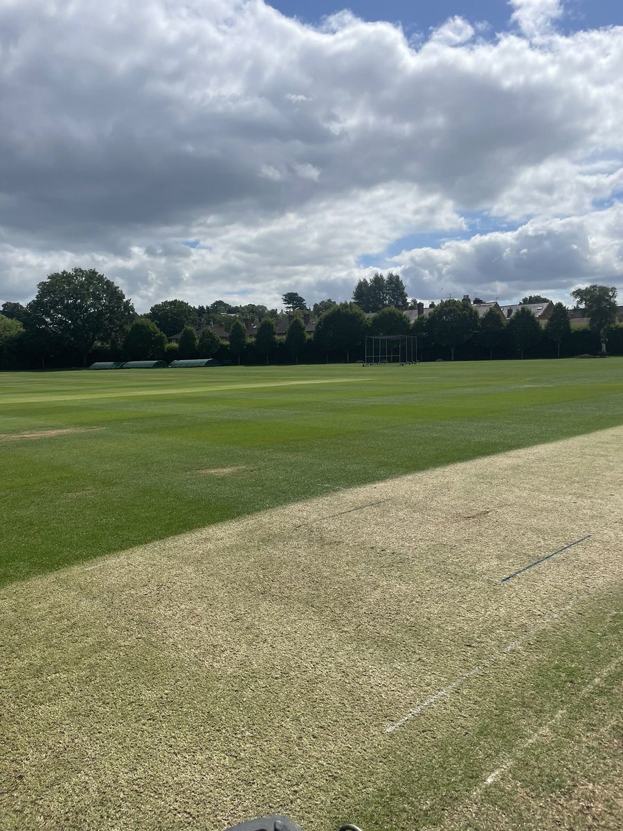 seansvl's tweet photo. The grounds squares and pitches looking better than the forecast for tomorrow https://t.co/banOzbJtoR