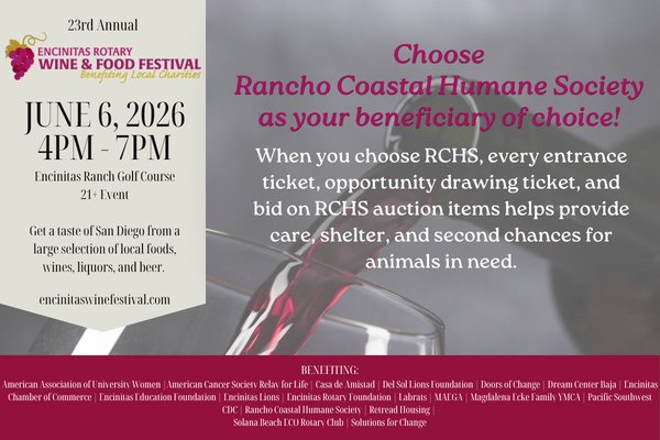 encdogguy's tweet photo. Thanks to NBC 7 for posting this segment featuring Yerbie and talking about CA Adopt a Pet Day and the Encinitas Rotary Wine and Food Festival this Saturday. https://t.co/7sZ14EVbbw https://t.co/VTiojOC4oK