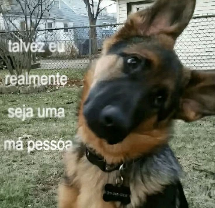 666_papada's tweet photo. Infelizmente, minhas mãos são brutas demais para a sua pele delicada https://t.co/mtLa0NIiQ0