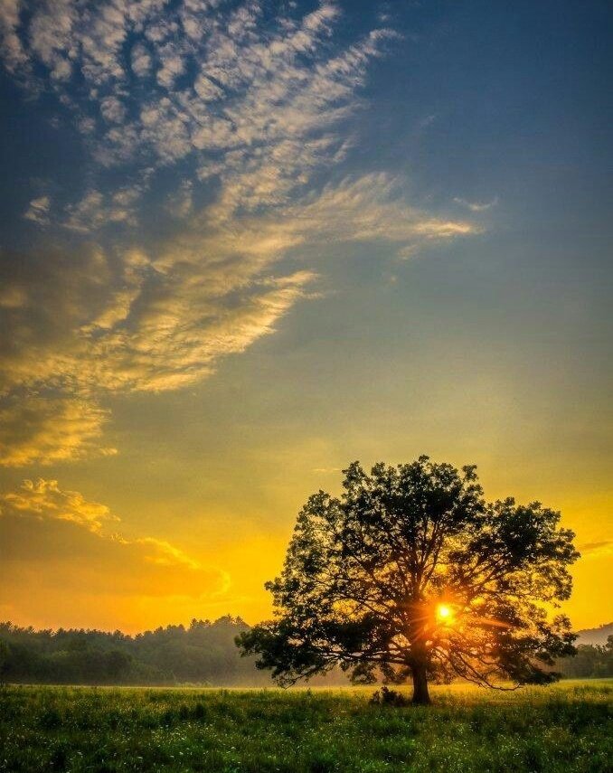 gambhirS7's tweet photo. Good Morning 

As the sun rises with a new dawn,
it spreads the light of honesty, truth, and wisdom.
Every ray inspires us to walk the path of righteousness,
bringing hope, positivity, and purpose to a new day.

May the blessings of the rising Sun fill your life with truth, integrity, and clear wisdom, and guide you toward noble deeds every day.

#GoodMorning #Sunrise #Honesty #Truth #Wisdom #NewDawn #Positivity
