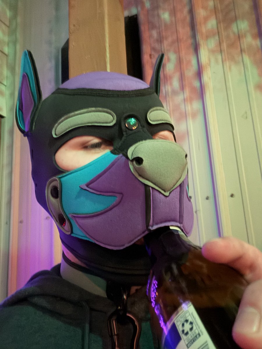 thepup_rex's tweet photo. Hard choice between beer or bone in my muzzle 😵‍💫 https://t.co/s12ajCkaKm