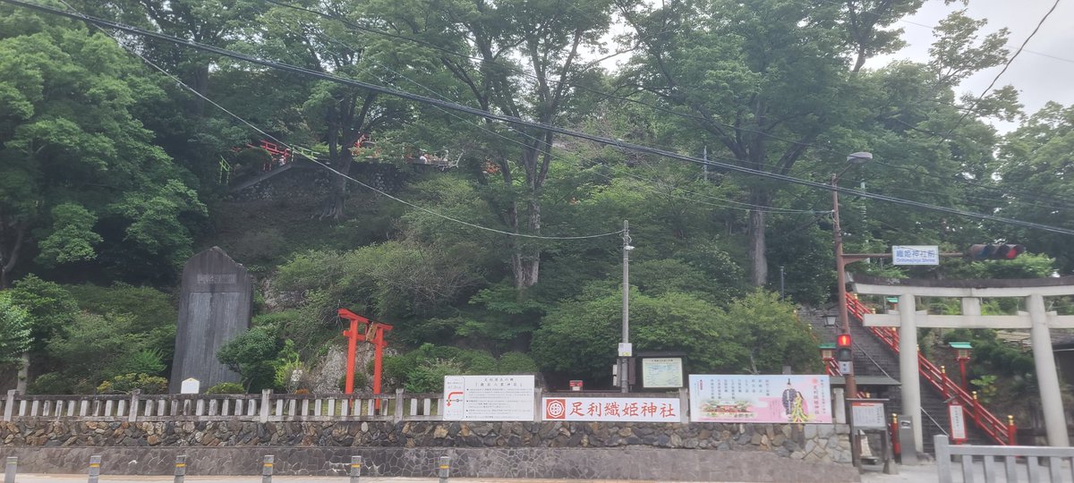 che_ayaka's tweet photo. 足利織姫神社キター🤩🤩🤩🤩
たのしみ😊 https://t.co/S9Qt0b1DBG