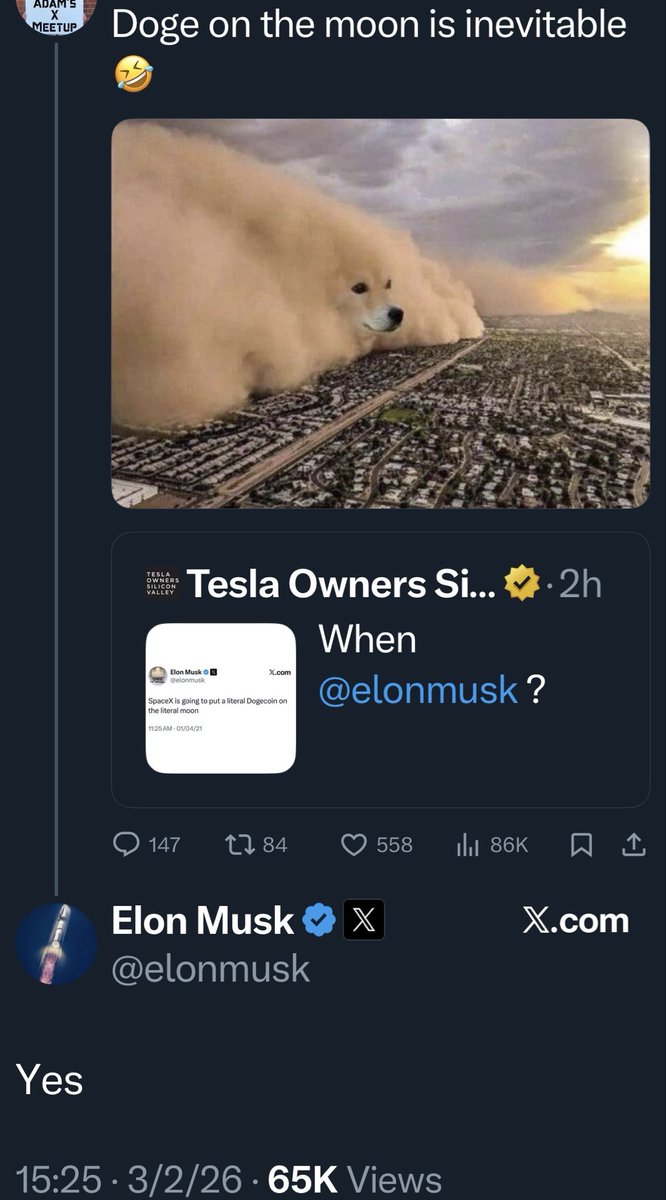 _dogegod_'s tweet photo. Elon Musk has replied Yes to Dogecoin to the moon is inevitable.

Lfg. https://t.co/4bZAWOUXaJ