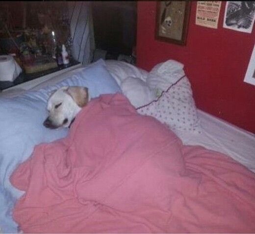 MasterKeeef117's tweet photo. @OW2hater67 @naranciagaming we sleep https://t.co/eQf72M0YI7