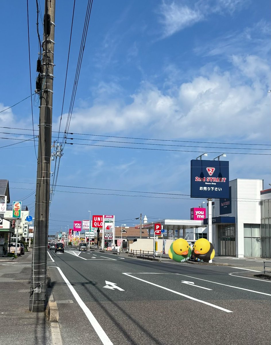 lisami555's tweet photo. こちらが昭仁さんがウォーキングされたと言われる「ニトリ･ユニクロ･セカンドストリート」の通りでございま〜す🫱✨

#ポルノグラフィティ
#種水果実 https://t.co/XLO7g6pDoI