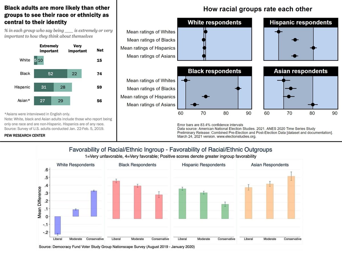 _Doc_Hawaii_'s tweet photo. @Scratch_Point_Z Blacks are by far the most Racist group, many hate whites.  Whites on the other hand are the least racist group, leading to our being taken advantage of by parasitic browns. https://t.co/Gznmt9uy0B
