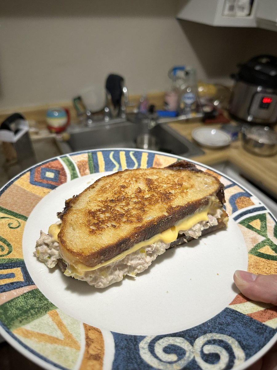 HotdogOW's tweet photo. rate my tuna salad melt (homemade sourdough with homemade mayo in there) https://t.co/JAO6v9DBRG