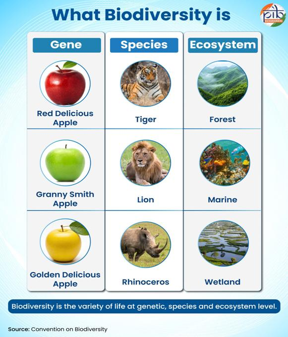 DDNewslive's tweet photo. India’s Biodiversity: Commitments and Achievements 

💠India’s biodiversity governance is organised through a three‑tier structure that links national policy with state action and local implementation. 

💠The National Biodiversity Authority operates at the national level, while State Biodiversity Boards and Union Territory Biodiversity Councils guide action at the state and provincial levels. 

💠At the local level, Biodiversity Management Committees in rural and urban bodies prepare People’s Biodiversity Registers and support community‑led conservation. 

💠India has established more than 2,76,653 BMCs and over 2,72,648 People’s Biodiversity Registers, documenting local species, ecosystems and traditional knowledge across the country. Together, these institutions and processes strengthen ecological resilience, local stewardship and alignment with global biodiversity goals under the Convention on Biological Diversity (CBD). 

@PIB_India @moefcc #WorldEnvironmentDay #NowForClimate #PositiveClimateAction