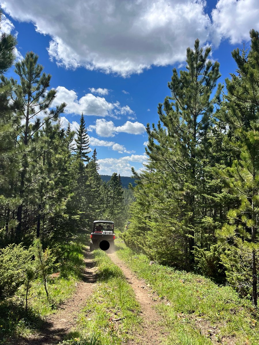 sleepwellCC's tweet photo. @martinamcbride won’t sing for America, but I will sing its praises!🙏🏻🇺🇸♥️ As will this town I am visiting on vacation- signs &amp; American flags everywhere! 
#usa
#offroading
#celebrate250 
#Godscountry 
#Americathebeautiful 
#GodBlessAmerica 
#homeofthebrave https://t.co/WUZbYEkAhz