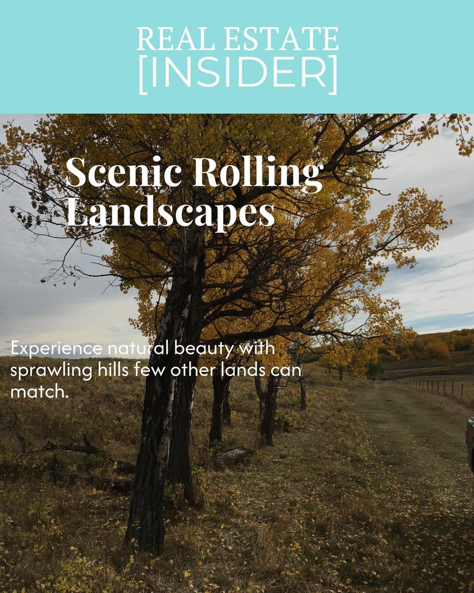 refoothills's tweet photo. Rare foothills estates between Calgary and Okotoks offer panoramic mountain views and rolling landscapes few can match. 🏞️ Is holding legacy land with this level of exclusivity on your radar? https://t.co/D80WuaPmp9