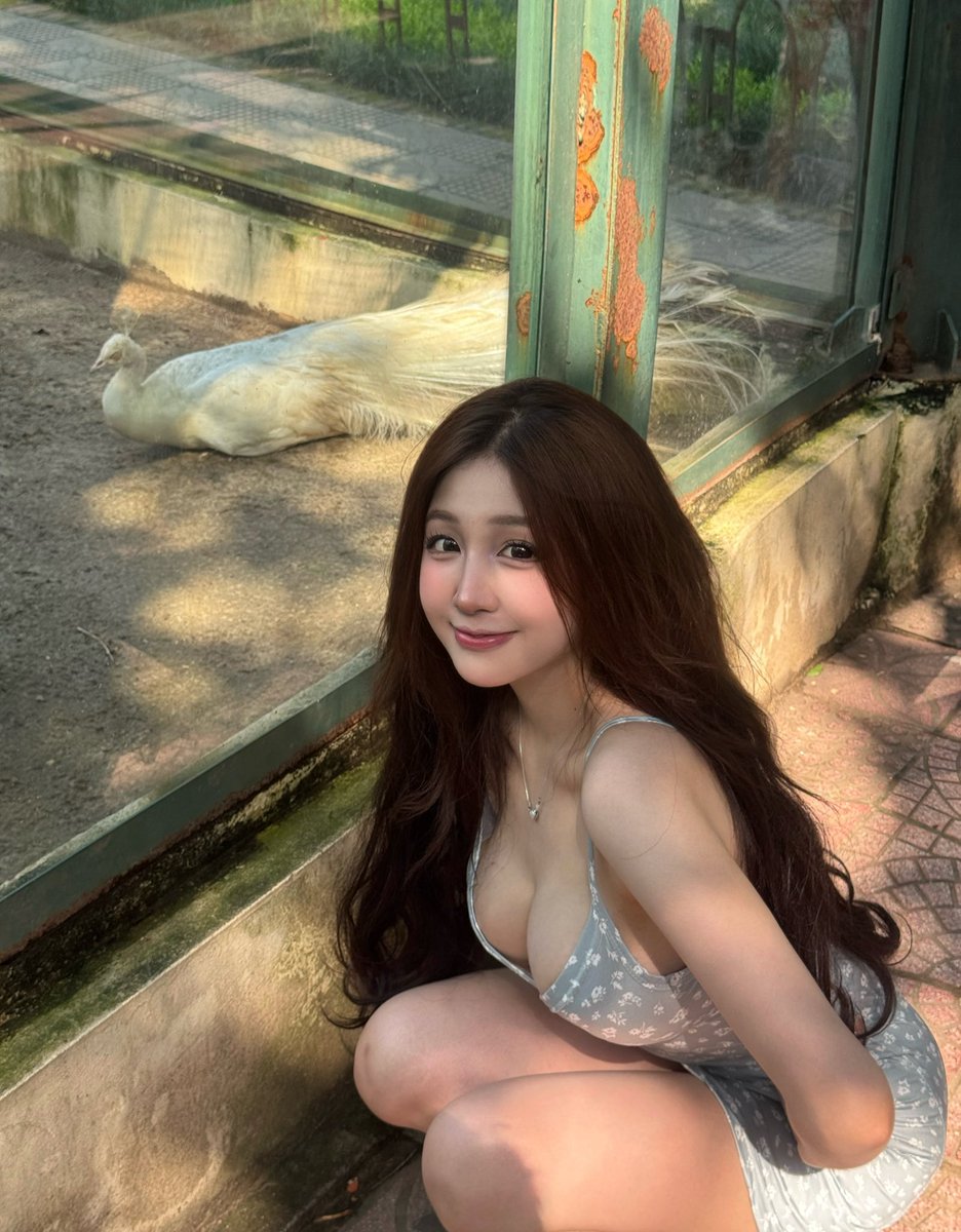 vnbeautysexy's tweet photo. Hôm nay ổn không? Hay để em làm ngày của anh tốt hơn? https://t.co/JH3RkGpAlf