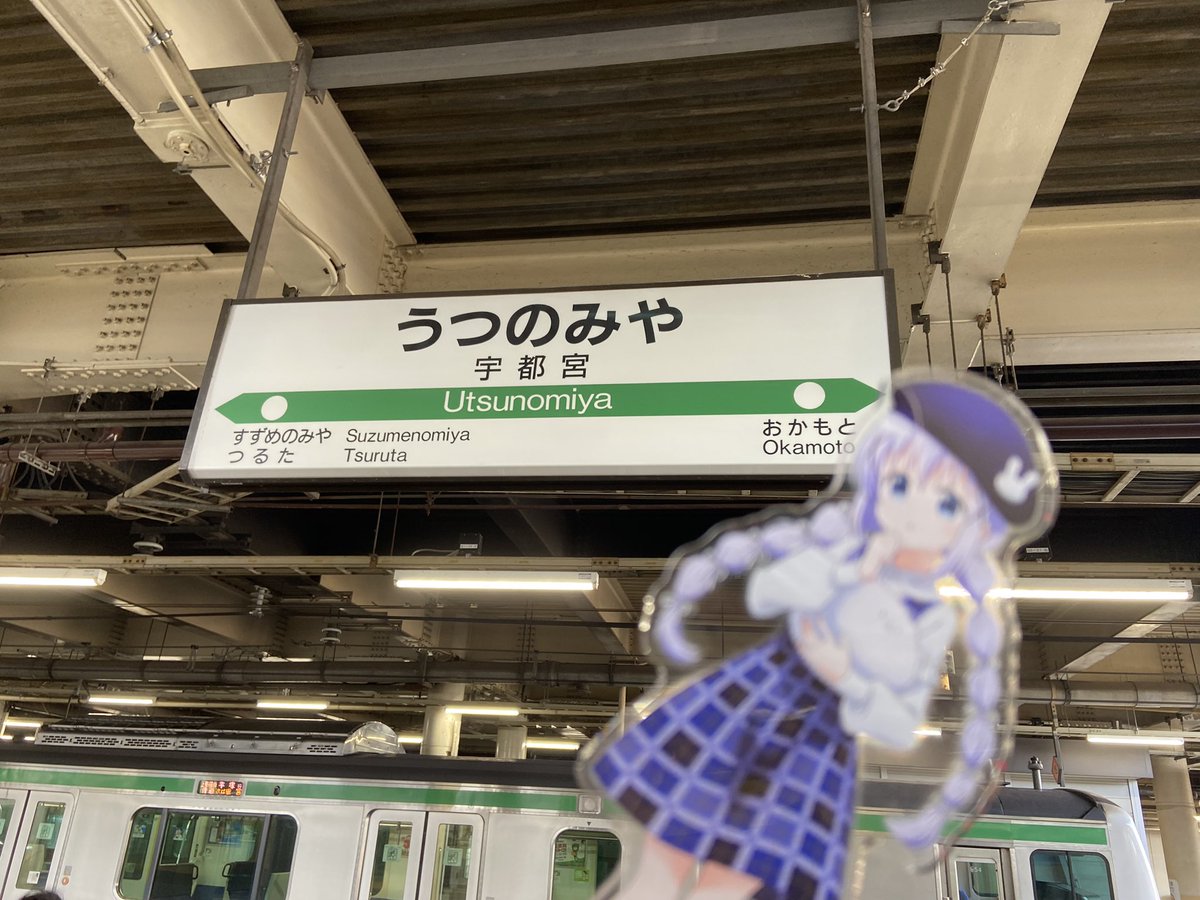 きゃらめる@本垢凍結 tweet media