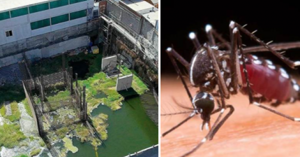 elnortero's tweet photo. Antofagasta: Intervienen polémico “pantano urbano” tras alerta sanitaria por mosquito del dengue, ¿qué hallaron? https://t.co/WlocRmIzOD https://t.co/6c5Gg7Omcl