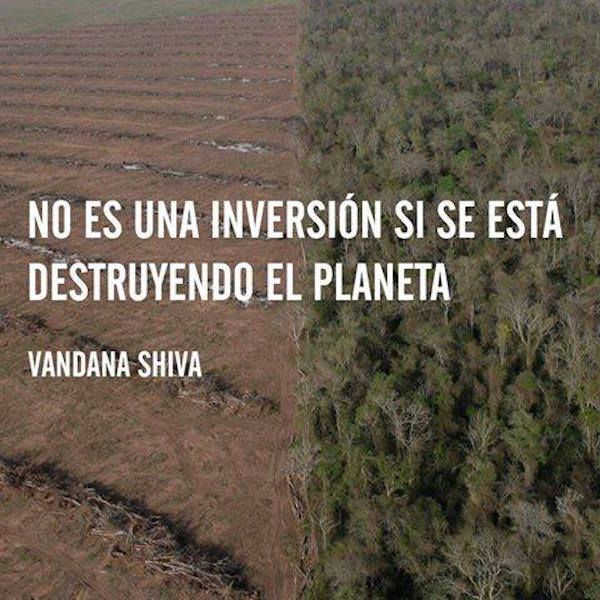 MarcoALopez8's tweet photo. @MiAmbientePma DÍA MUNDIAL DEL AMBIENTE. NO a la minería a cielo abierto. https://t.co/CZnrskejPH