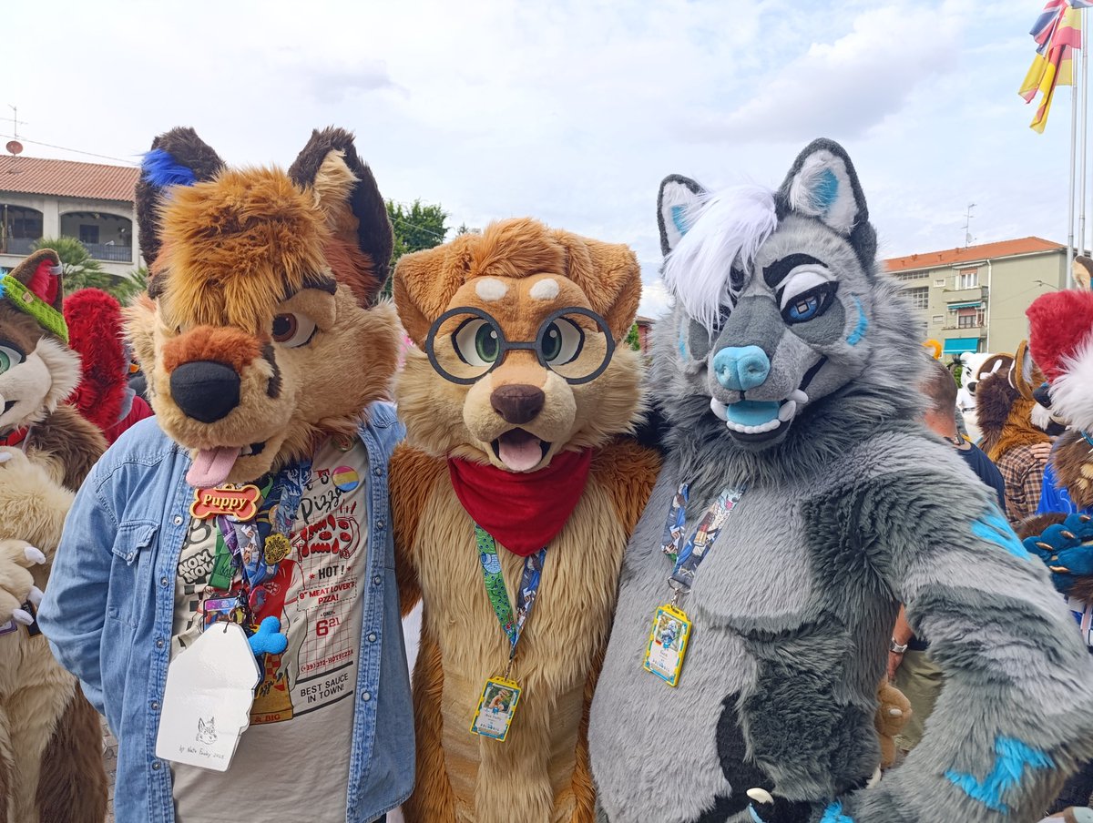NFosky's tweet photo. Met the adorable puppy that is @MaxFluffys and his boyo @GenWerehoosk~

Had a blast with them and others at #Furizon in Italy!
 ✨🦊🐶💚🤍❤️🥰🐶🐺✨

Happy #FursuitFriday fluffs!

#Furry #Fursuit #Friends #FurizonPolaris https://t.co/VWz3QQm3Jc