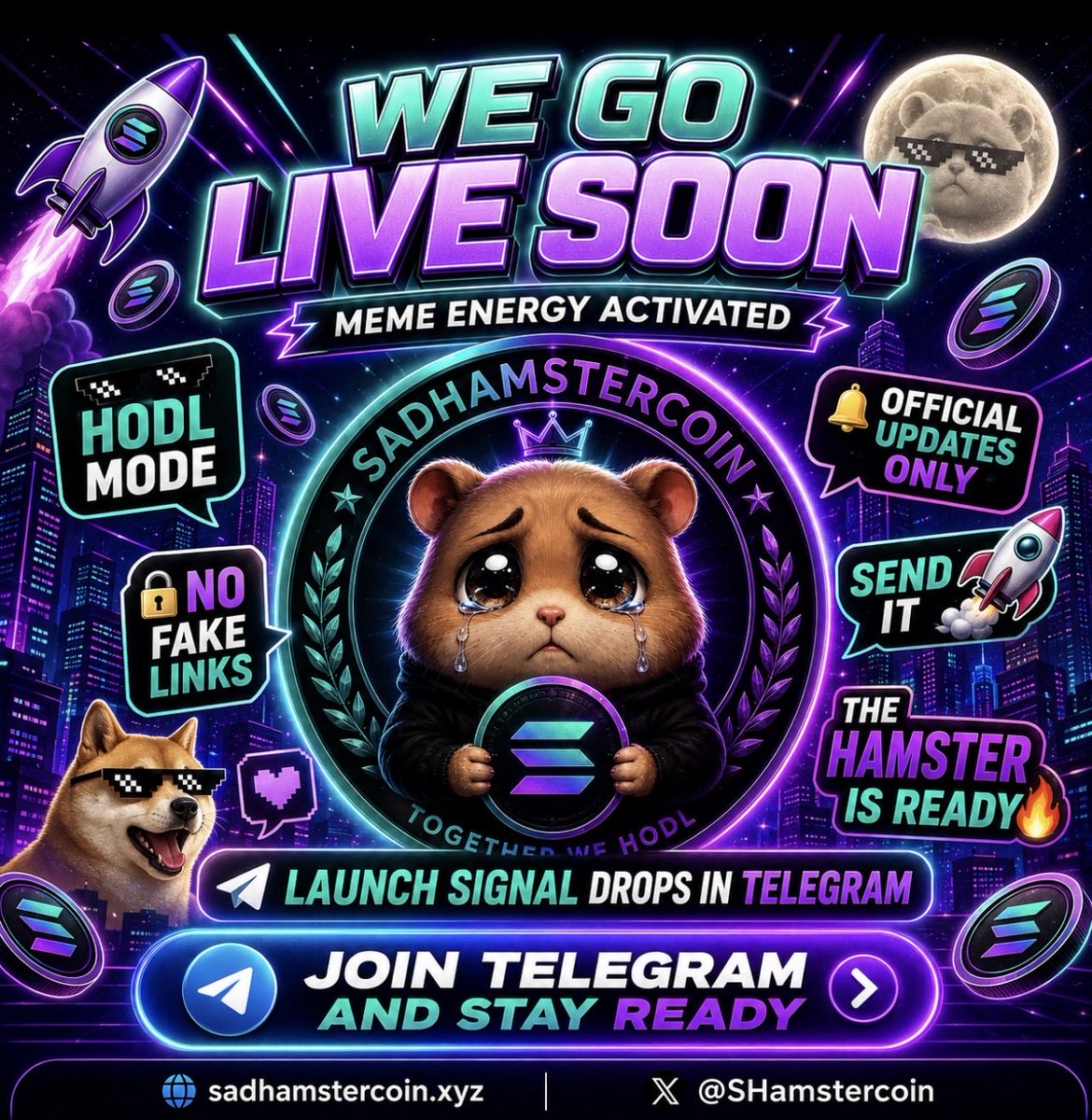 SHamstercoin's tweet photo. https://t.co/Y38OMpqWo1