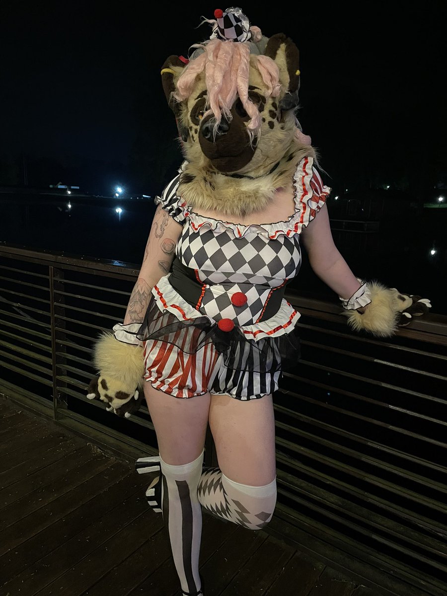 VladComrade1's tweet photo. And Foxwood 2026 was cool. There will be more photos later. 

#furry #fursuit #foxwood2026 https://t.co/ybQmHxhsXK