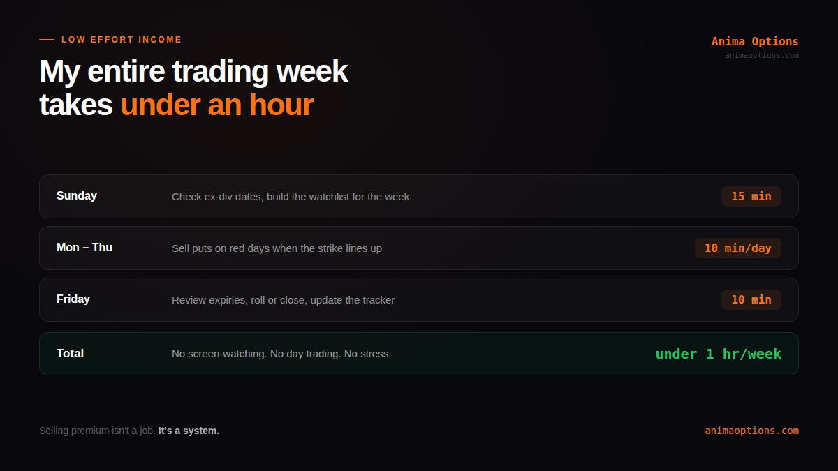 Anima Options (@AnimaOptions) / Posts / X