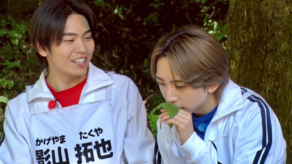tbs_imp's tweet photo. ／
　本日深夜0:28~0:58📺 ˎˊ˗
＼

0円食材！？
雑草料理に挑戦👨‍🍳
#IMP. は素敵な雑草を採取できるのか👀🌱

本日もお楽しみに〜💁🏻‍♀️✨

#IMPのできませんは言いません
#アイでき https://t.co/2AnS2kbGu3
