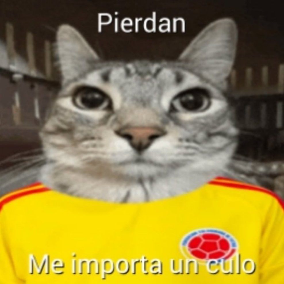 Francisco Galán tweet media