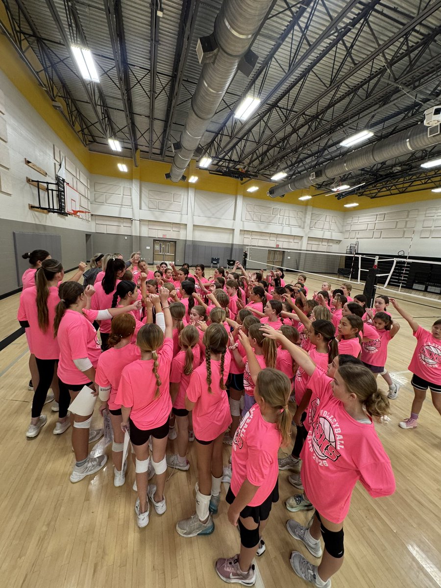 Cougar Volleyball tweet media