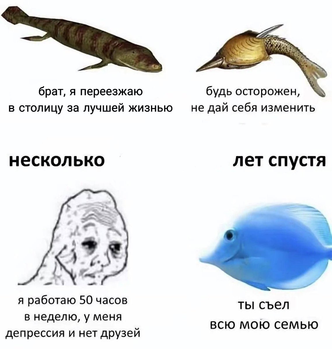 perepovypodvert's tweet photo. СТОЛИЦА МЕНЯЕТ РЫБ. https://t.co/vrotrglUdh