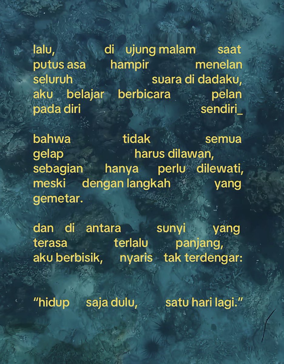 dnzrx tweet media