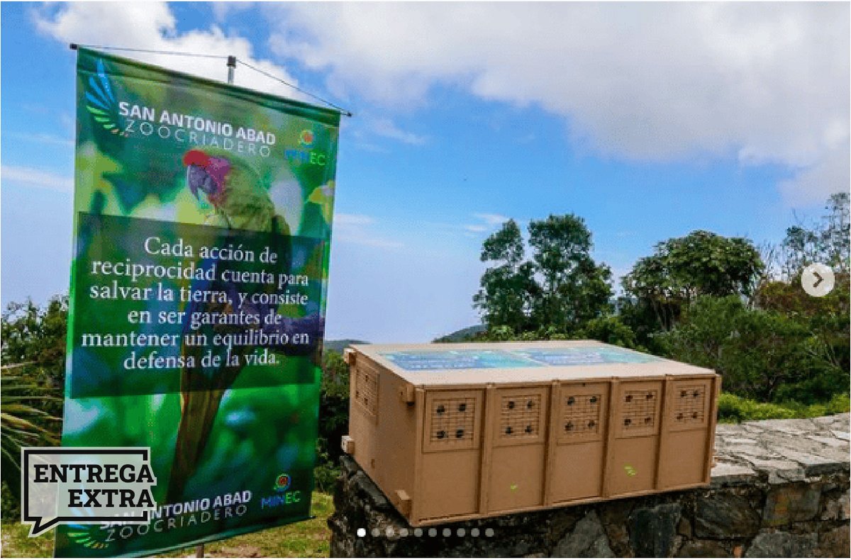 ArmandoInfo's tweet photo. Una investigación de @sz y @ArmandoInfo reveló que cientos de animales silvestres fueron trasladados desde Venezuela a India por el Criadero San Antonio Abad. ¿Quién era el representante legal de este supuesto "zoológico"? Nada menos que Luis Miguel F. 👇🏻
https://t.co/21Iu28mY95 https://t.co/Ix06DnJbwO
