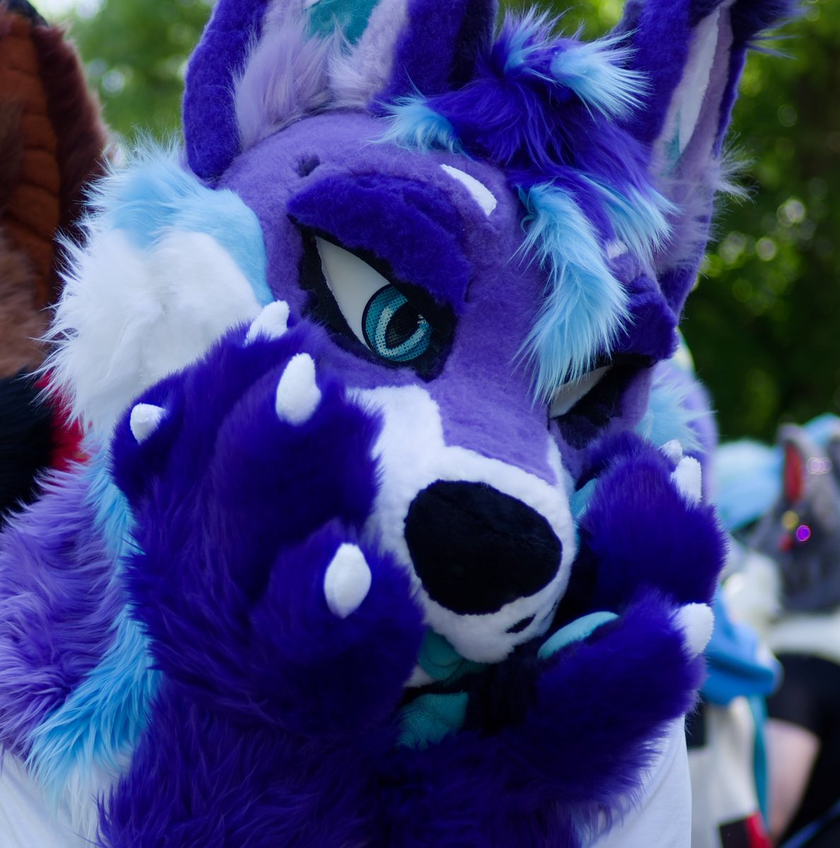 FurJake_3D's tweet photo. Happy #FursuitFriday to all fuzzies out there <3

#furry #fursuit https://t.co/YKCQ6nhFeD