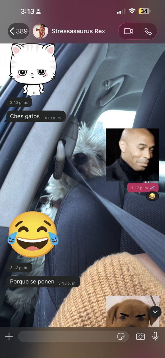 mafpg's tweet photo. El inge en sistemas peleándose con unos stickers de gatos y va perdiendo. https://t.co/GCVrALNV6n