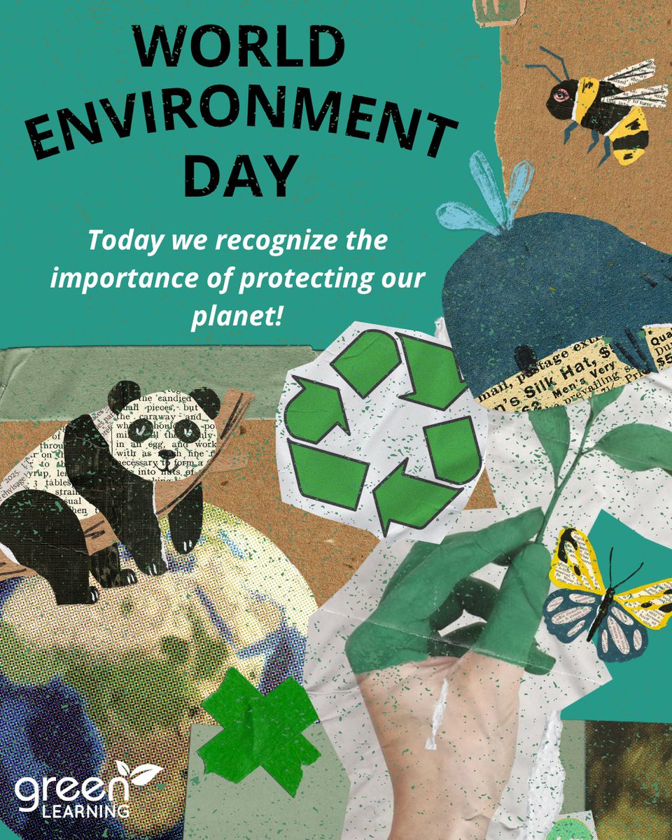 GreenLearning's tweet photo. Today is World Environment Day 🌎💚

It’s a reminder that even small actions can have a positive impact on the planet. 

#WorldEnvironmentDay #Sustainability #ClimateAction #ProtectOurPlanet #EnvironmentalEducation #EcoFriendly https://t.co/9WvZxvCB0R