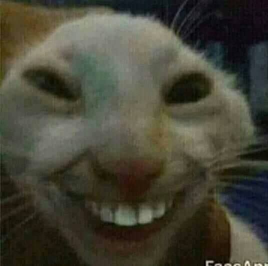Mrgary8 tweet media