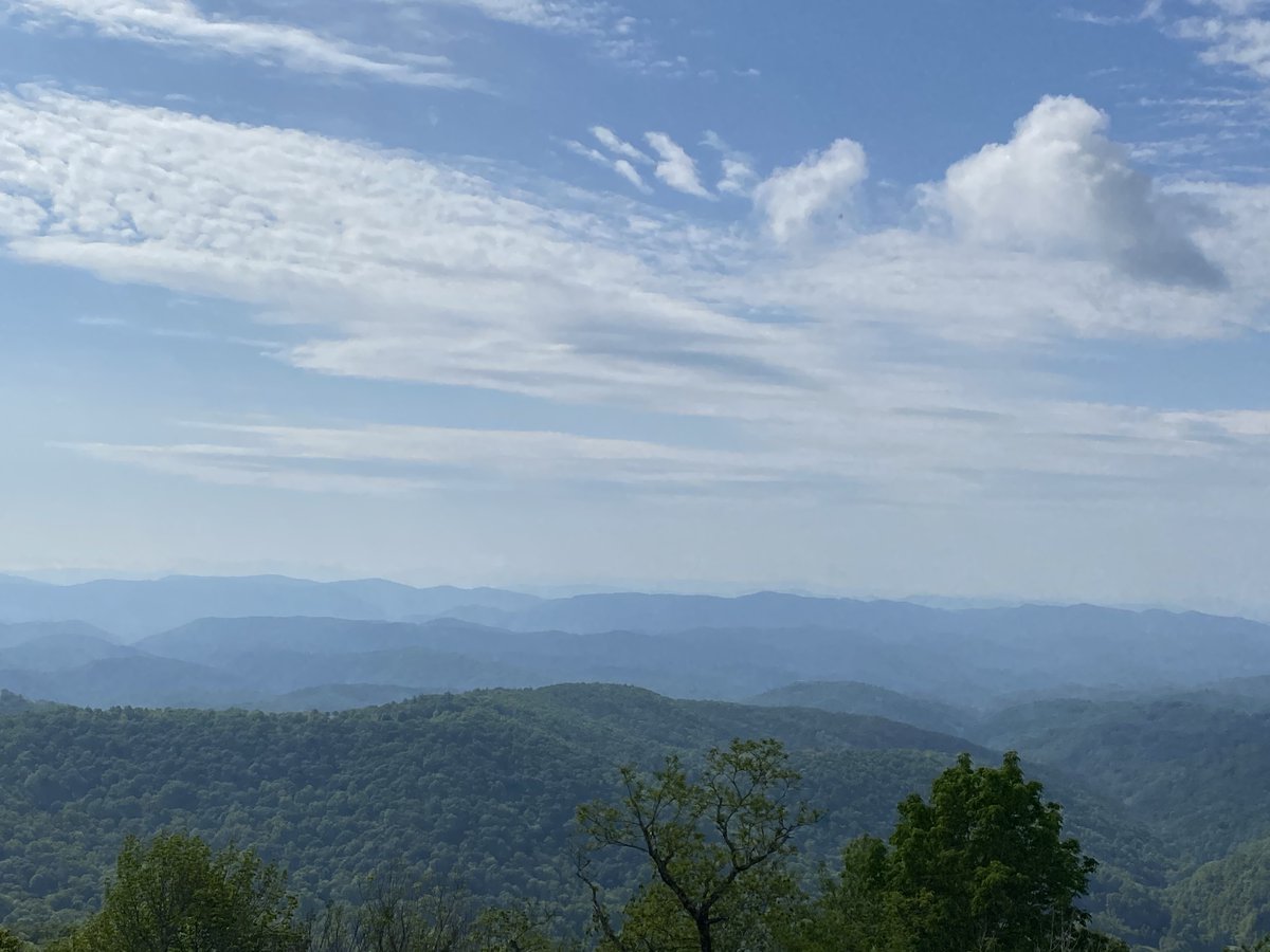 Elizabe59065456's tweet photo. Hello, Boone! https://t.co/CnPHV9gwaQ