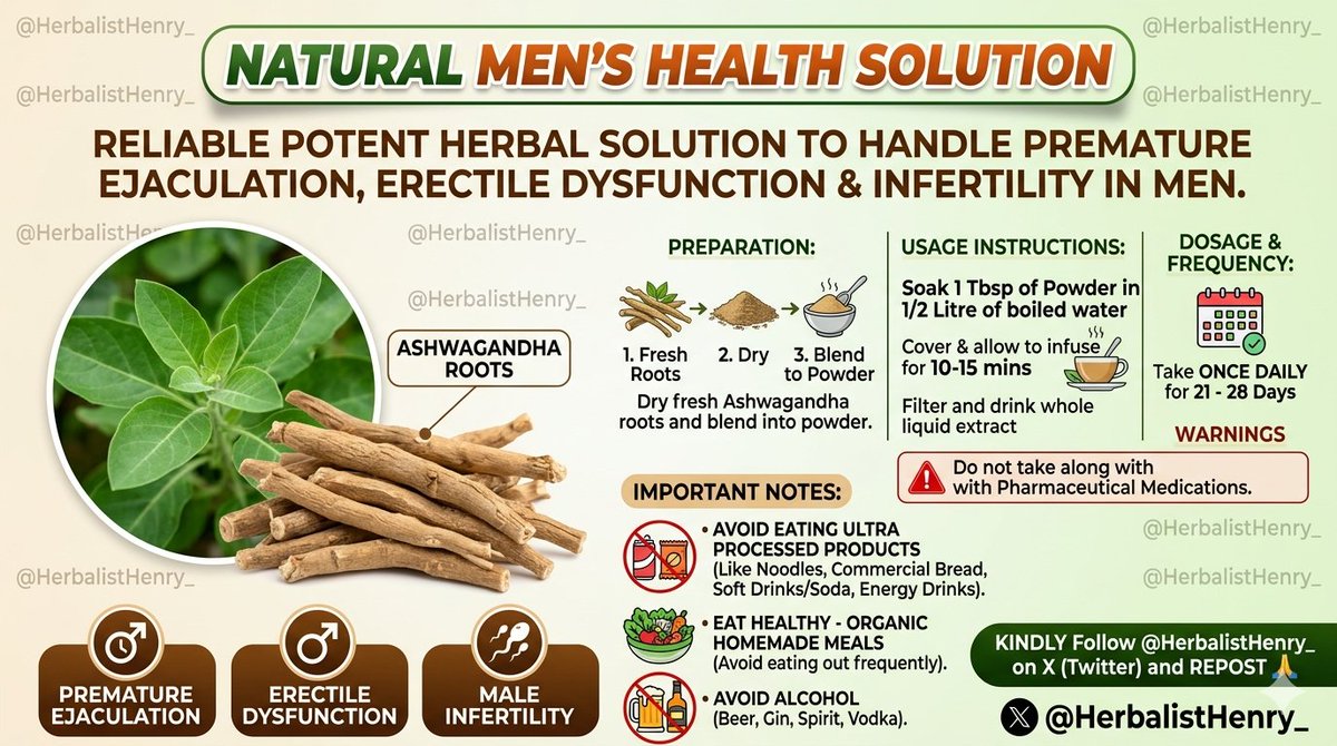 HerbalistHenry_'s tweet photo. RELIABLE POTENT HERBAL SOLUTION TO HANDLE  PREMATURE EJACULATION, ERECTILE DYSFUNCTION  & INFERTILITY  in MEN

ASHWAGANDHA  ROOTS has been used for centuries to  rectify  Men's Sexual and Fertility needs.

If you have access to  fresh ASHWAGANDHA, uproot some, dry them and blend to Powder

Soak 1 tablespoon of ASHWAGANDHA  Powder in half litre of boiled water 
Cover it and allow infuse for 10-15 minutes or until warm enough to drink.

Filter and drink whole liquid extract 
Once daily for 21 - 28 Days

⚠️ Do not take along with Pharmaceutical Medications. 

IMPORTANT NOTES:
1. AVOID EATING  ULTRA PROCESSED PRODUCTS 
(Like Noodles, Commercial Bread, Soft Drinks / Soda, Energy Drinks)
2. EAT HEALTHY - EAT ORGANIC HOMEMADE MEALS WHICH YOU PREPARED YOURSELF WITH INGREDIENTS KNOWN TO YOU; AVOID EATING OUT FREQUENTLY AS MOST FOOD FENDORS CUT CORNERS TO MAKE THEIR MEALS DELICIOUS AND ADDICTING
3. AVOID ALCOHOL (BEER, GIN, SPIRIT, VODKA) 

KINDLY Follow @HerbalistHenry_  on  X (Twitter)  and REPOST 🙏