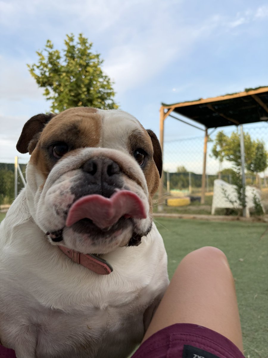 LittleAcca's tweet photo. en lo de trabajar hoy ❤️‍🩹 https://t.co/Sl0KgBp3LD
