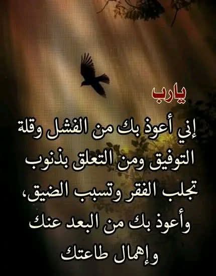 ail_ss's tweet photo. #اسطول_زعماء_تويتر https://t.co/UI44In8WAW