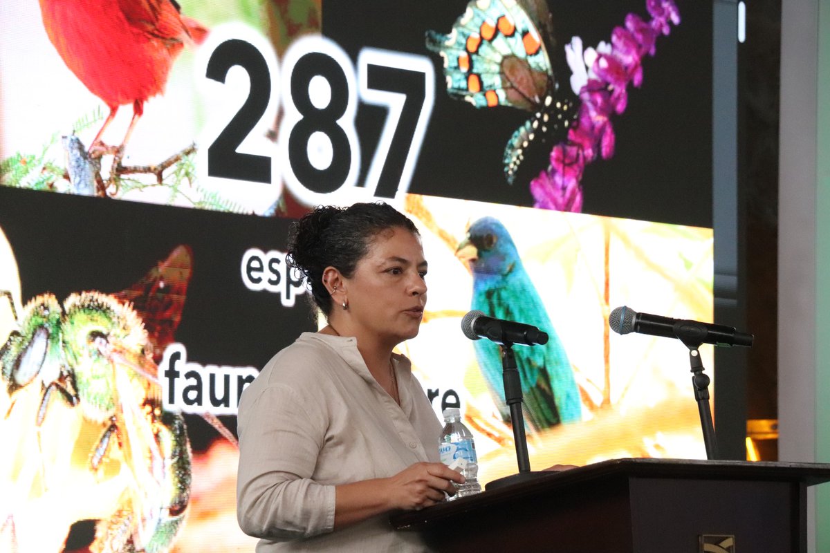 Implan_Leon's tweet photo. 🌎💚 En el Día Mundial del Medio Ambiente participamos en la entrega de reconocimientos “Amigos del Planeta”, donde contribuimos a la sensibilización ambiental mediante la ponencia sobre la importancia del Índice de Biodiversidad Urbana, impartida por la Mtra. Susana López Funes. https://t.co/FmeYbnQRtT